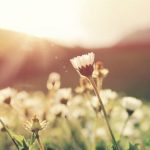 Las tendencias en bolsos que arrasarán esta primavera